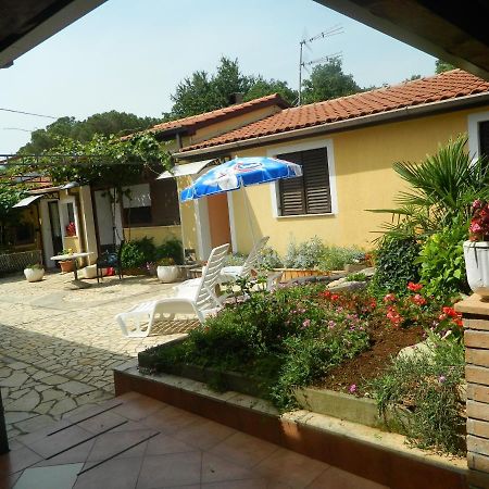 Apartments Vila Vanda بوريتش المظهر الخارجي الصورة